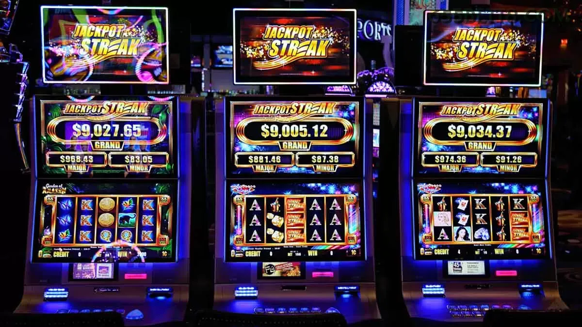 Slots 655bet - Sweet Bonanza e caça-níqueis populares